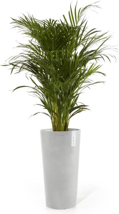 Actual product image Ecopots Amsterdam midhigh (66 cm)