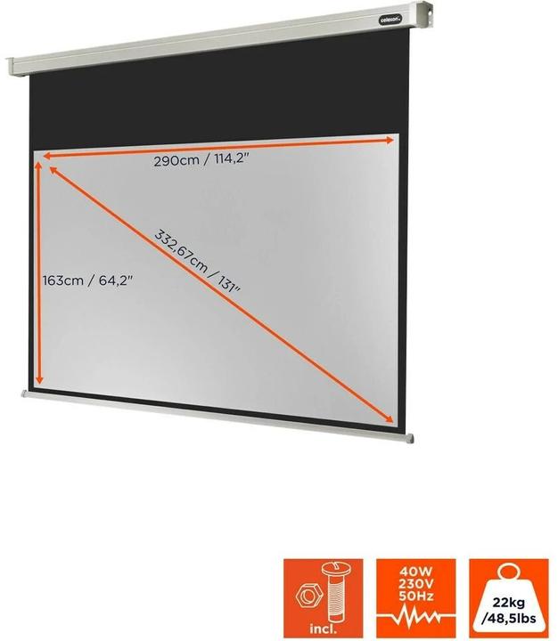 Actual product image Celexon Electric Professional (134", 16:9)