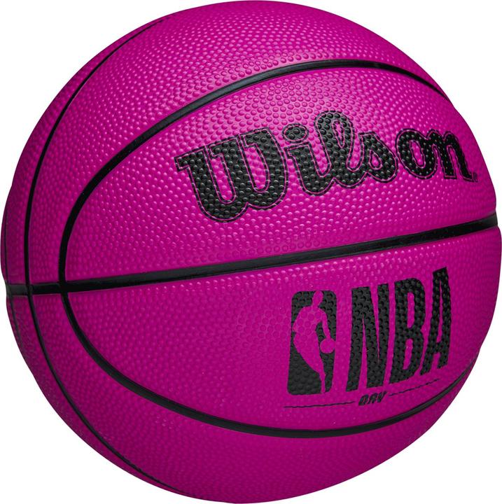Image du produit Wilson NBA DRV Mini
