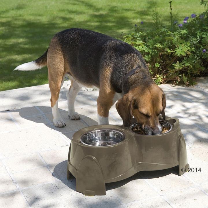 Produktbild Savic Ergo Feeder Hundebar x Höhe (2 l)