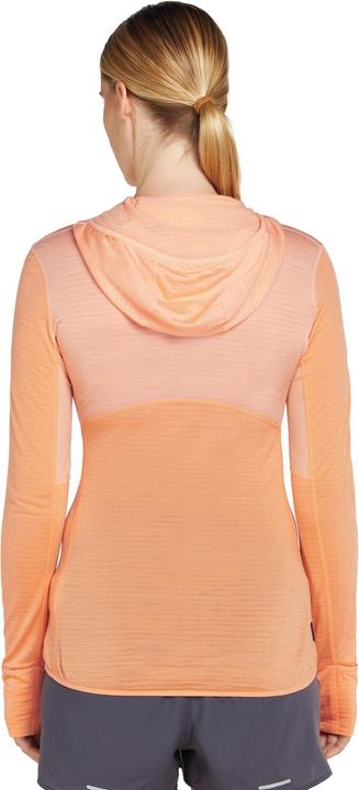 Image du produit Icebreaker Women Merino Mer 200 Realfleece Descender LS Zip H (L)