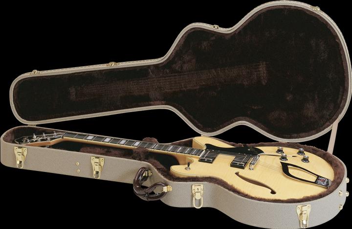 Actual product image Hagstrom Case, mould, for HJ models, HJ500, HJ600, HJ800
