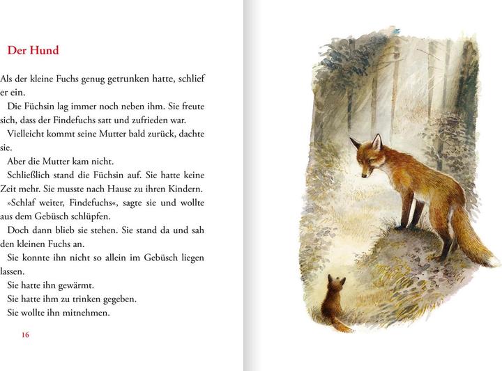 Produktbild Der Findefuchs (Deutsch, Irina Korschunow, 2021)