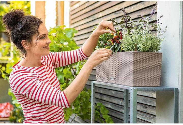 Produktbild Lechuza Blumentopf Balconera Cottage 50 (19 cm)