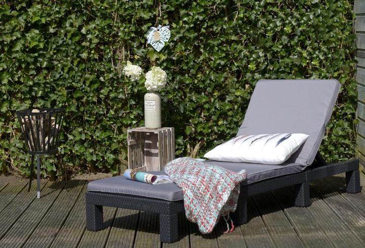 Image du produit Allibert Daytona Sunlounger (195 cm)