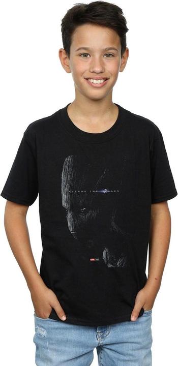 Actual product image Boys Avengers Endgame Avenge The Fallen Groot T-Shirt (152, 158)