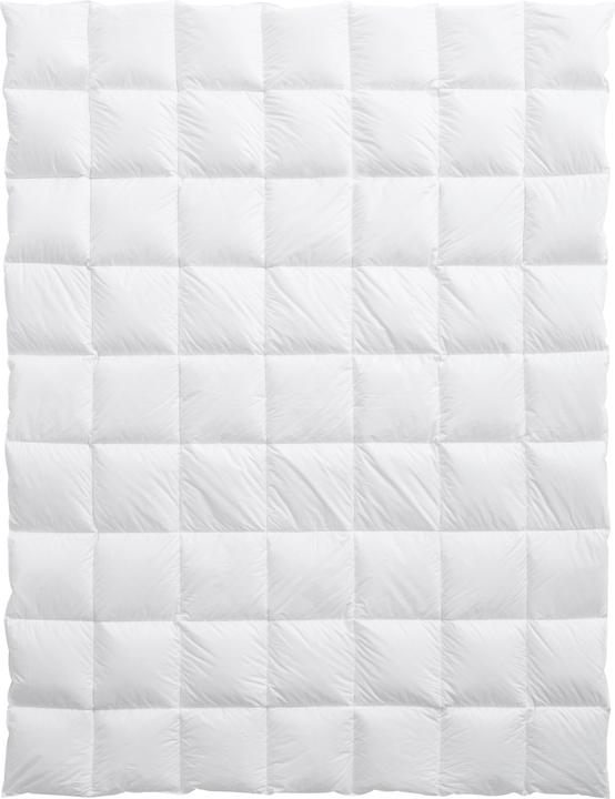 Immagine prodotto Billerbeck Berna 100 (510 g, 160 x 240 cm)