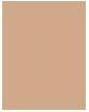 Immagine prodotto Erborian BB Cream (Nude)