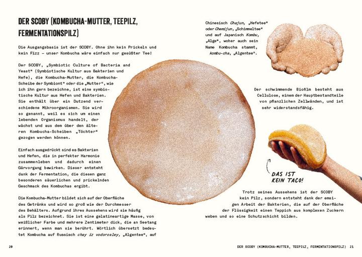 Produktbild Kombucha do it yourself (Deutsch, Julie Ponge, 2023)