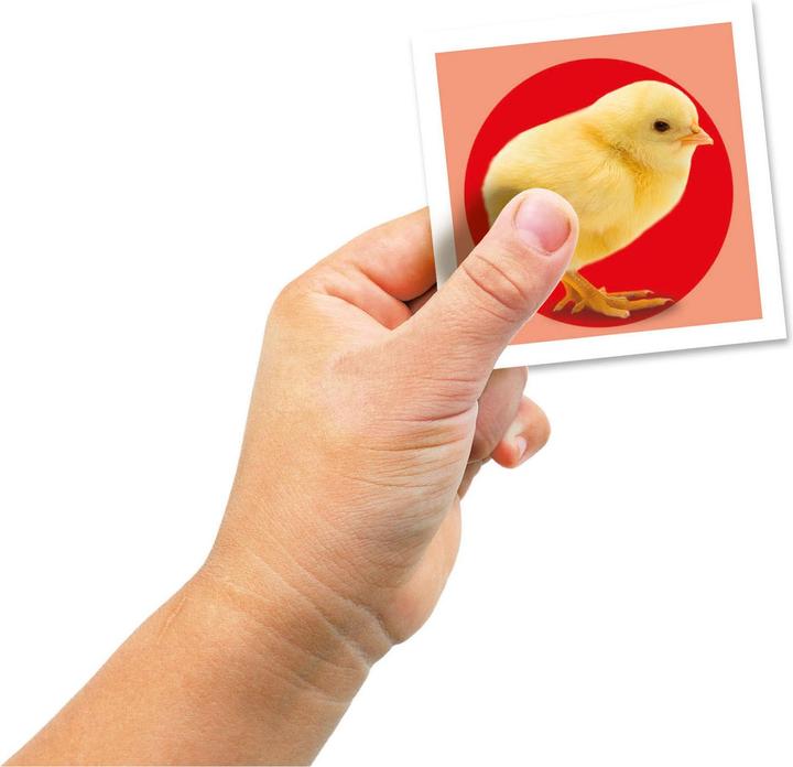 Actual product image Clementoni Memo compact animal babies memory game 4+