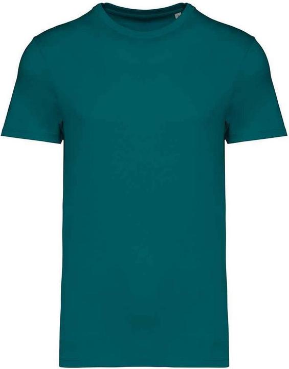 Native Spirit Unisex Adult Heavyweight Slim T-Shirt