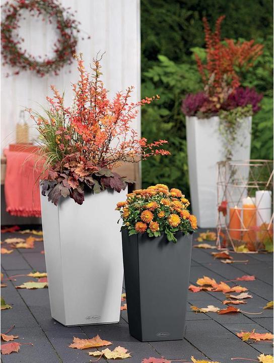Produktbild Lechuza Cubico Color 30 (29.50 cm)