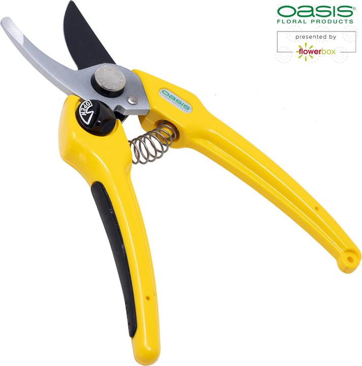 Produktbild Oasis Profi-Floristenschere