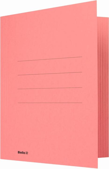 Image du produit Biella Dossier du jury du collecteur de fichiers (A4, 1 x)