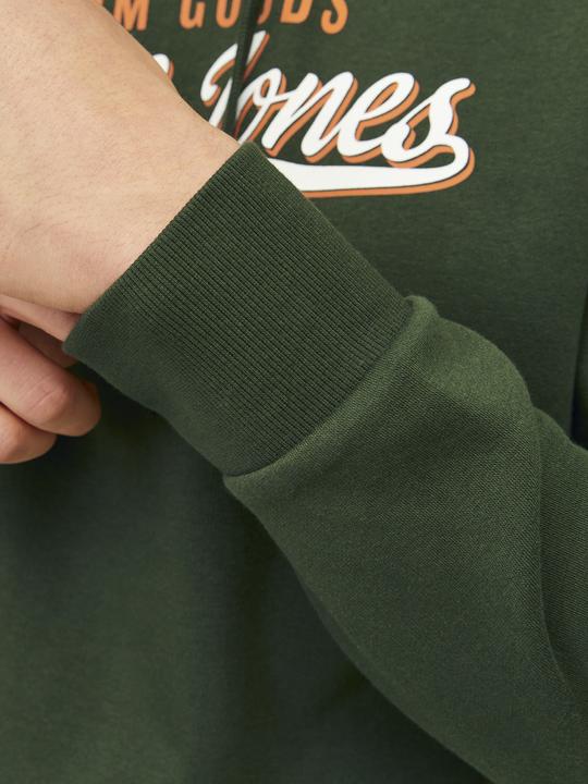 Actual product image Jack & Jones JJELOGO SWEAT HOOD 2 COL 24/25 NOOS (XL)