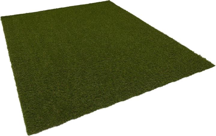 Actual product image Snapstyle Lawn carpet (1 x, 200 x 50 cm)