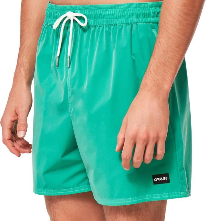 Actual product image Oakley Robinson RC 16" Beach Shorts (L)