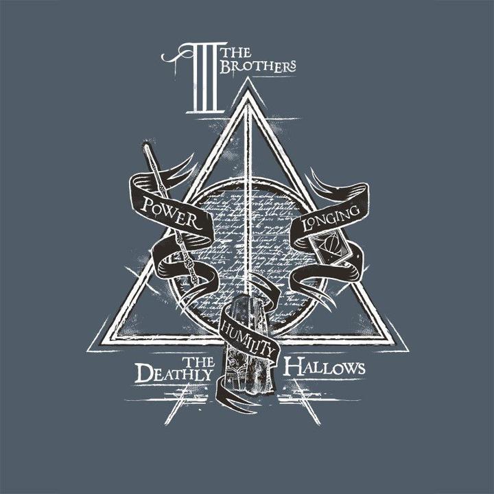 Actual product image ABYstyle HARRY POTTER - Tshirt Deathly Hallows man SS dark grey - new fit (XL)