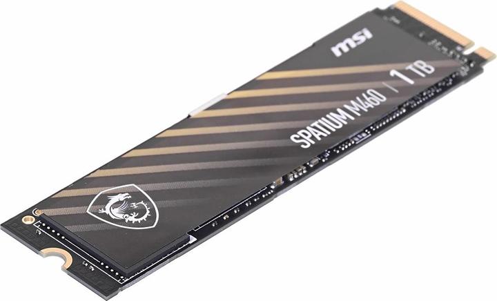Produktbild MSI Spatium M460 (1000 GB, M.2 2280)