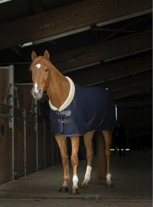 Produktbild Equi-thème EQUITHÈME Teddy Mesh Pferdedecke (145 cm)