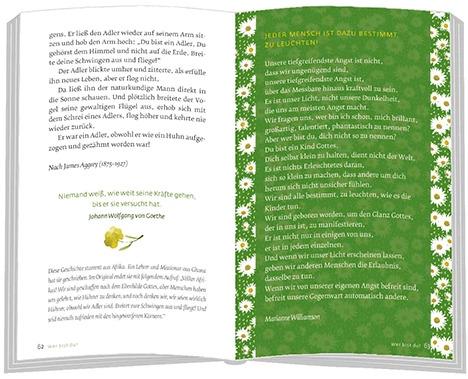Produktbild Die kleine Seelenapotheke (Deutsch, Verlag am Eschbach, 2022)