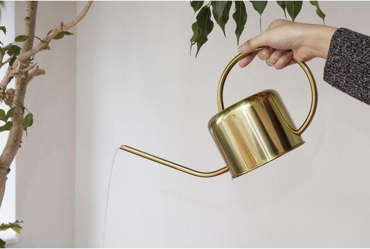 Immagine prodotto Kikkerland Annaffiatoio d'epoca (1.20 l)