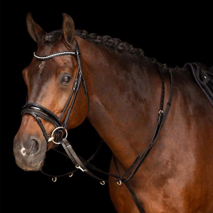Produktbild Imperial Riding Thiedemann Core