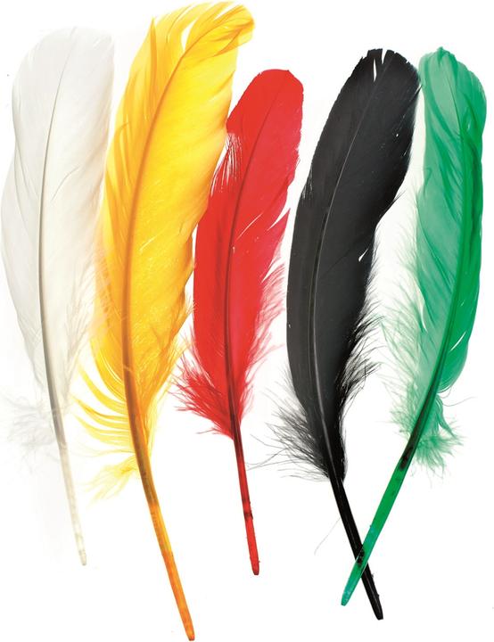 Produktbild Glorex Indianerfeder 16cm ca.15St mix