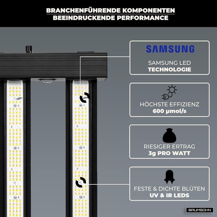 Actual product image Baumsohn GL1000W (LED, 220 V)
