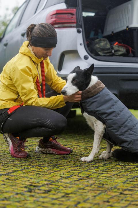 Produktbild Solognac Hundeweste warm grau (S, Hundeweste)
