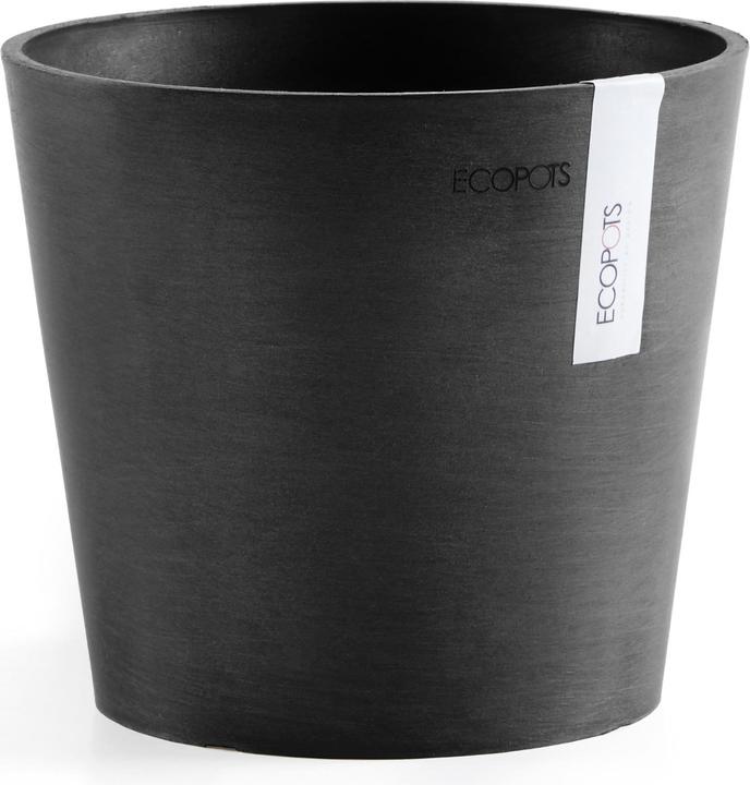 Actual product image Ecopots Amsterdam Mini (17 cm)