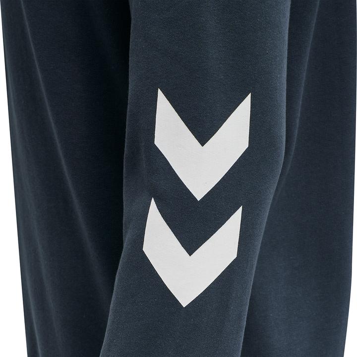 Actual product image hummel Legacy Zip Hoodie (XXL)