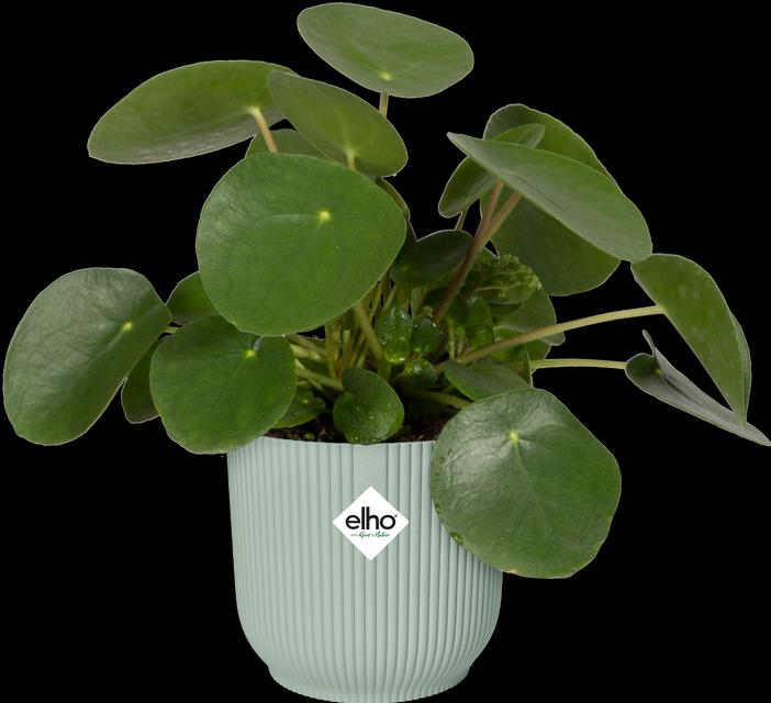 Produktbild Elho Vibes Fold Rund Mini (9.30 cm)
