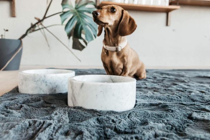 Produktbild Kentucky Dogwear Futternapf Marble (0.80 l)