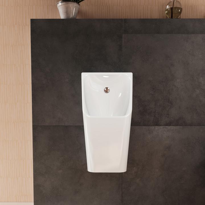 Image du produit hansgrohe EluPura Original Q urinoir, sans bord de chasse, arrivée à larrière, 320x305x600mm, bla