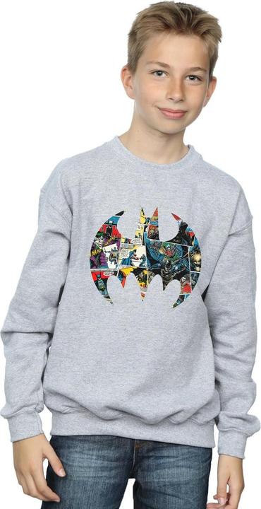 Actual product image Boys Batman Comic Book Logo Sweatshirt (152, 158)