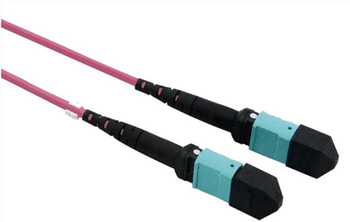 Immagine prodotto Value Cavo dorsale MPO (CAT6, 10 m)