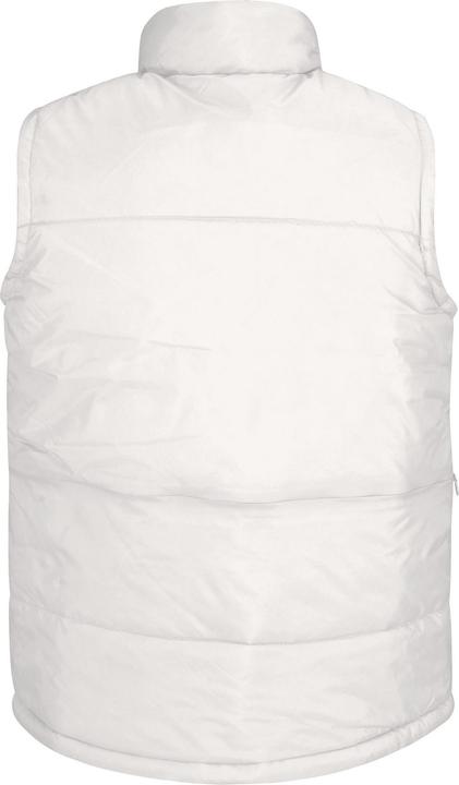 Image du produit B&C - Veste sans manches - Homme (XL)