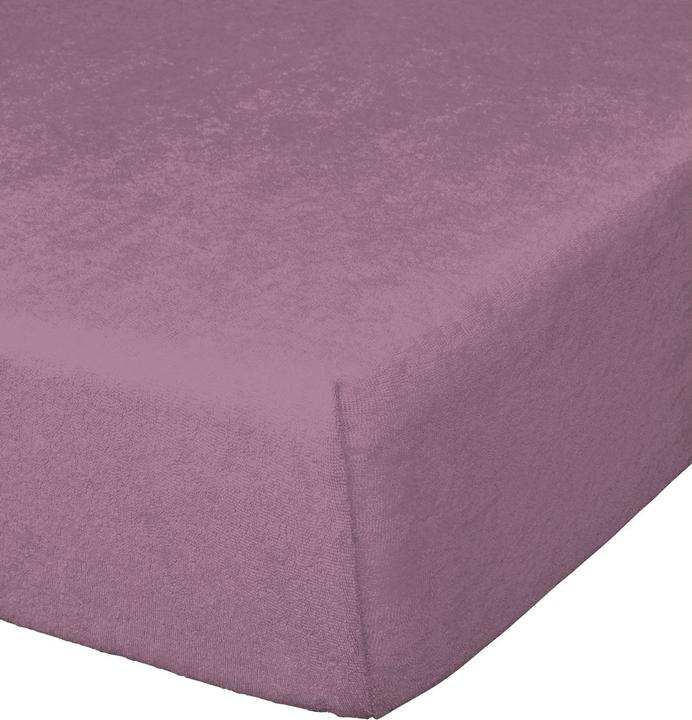 Malva