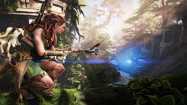 Actual product image Sony Horizon Forbidden West (PS4, Multilingual)