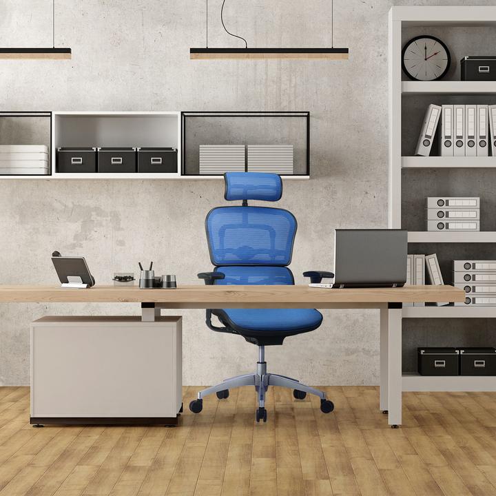 Immagine prodotto Hjh Office Edizione Ergohuman