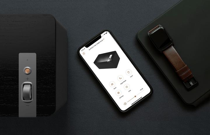 Actual product image Klipsch The Three Plus (Electrical connection)