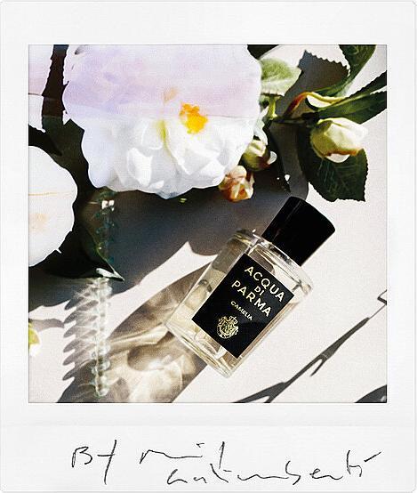 Produktbild Acqua Di Parma Camelia (Eau de Parfum, 180 ml)
