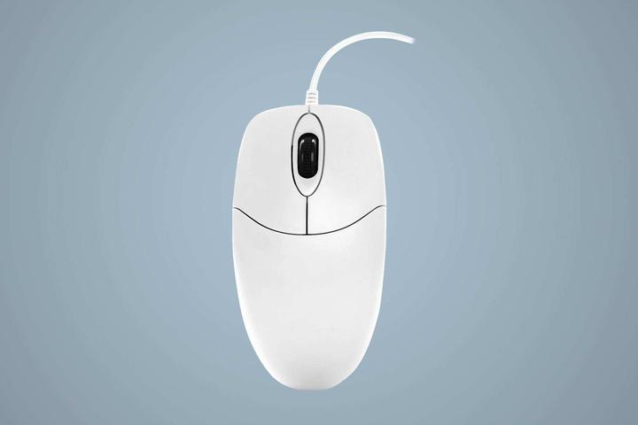 Image du produit Active Key Souris AK-PMJ1OW-UV-W IP68 lavable en blanc (Filaire)