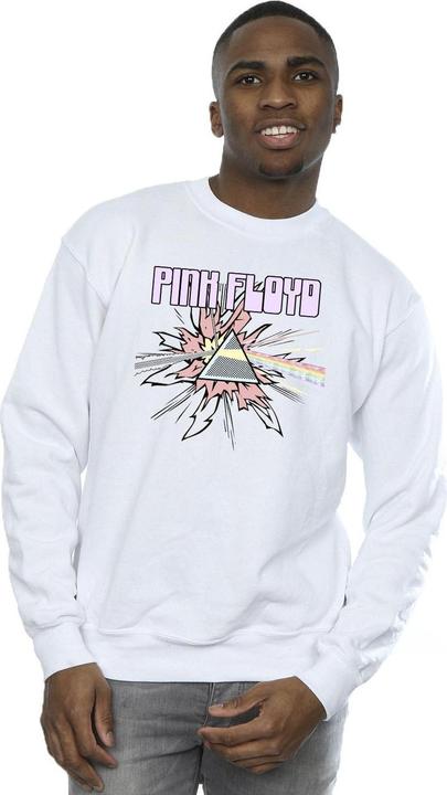 Image du produit Pink Floyd - Sweat PASTEL TRIANGLE - Homme (3XL)