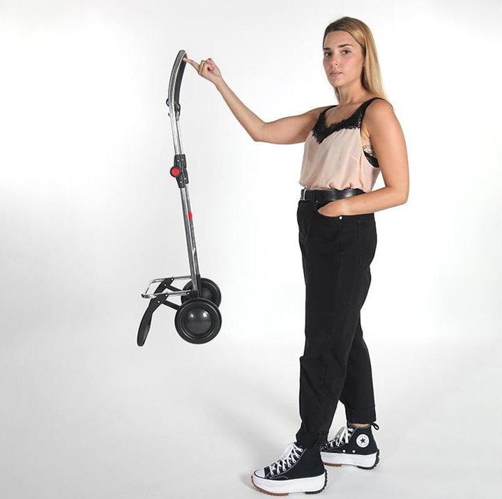 Produktbild Rolser Einkaufstrolley Big Polar 2 Kaki