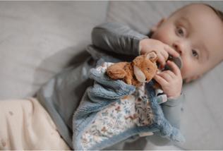 Immagine prodotto Little Dutch Panno per coccole volpe Forest Friends GRS colorato
