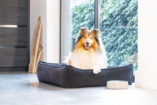 Image du produit Designed by Lotte Ribbed (Chien)
