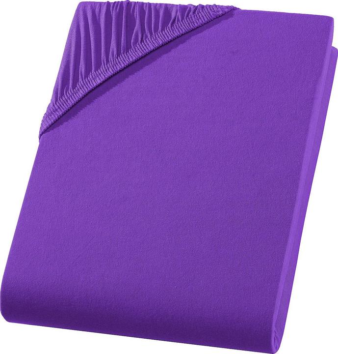 Viola