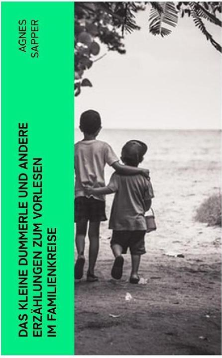 Actual product image Das kleine Dummerle und andere Erzählungen zum Vorlesen im Familienkreise (Agnes Sapper, 2023)